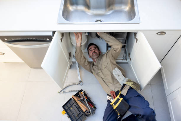 Best Plumbing Inspection Services  in Herlong, CA
