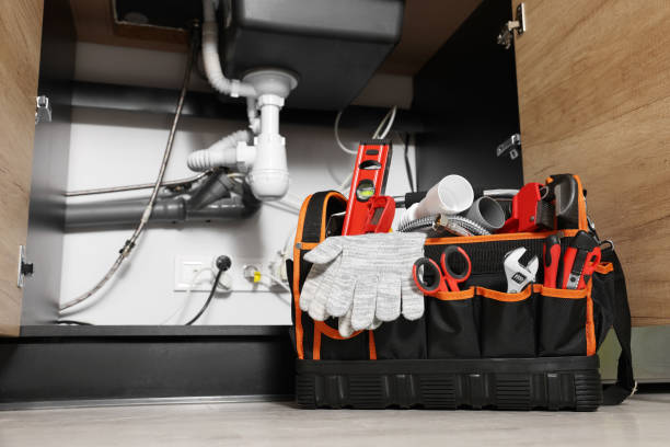 Best Drain Cleaning Services  in Herlong, CA