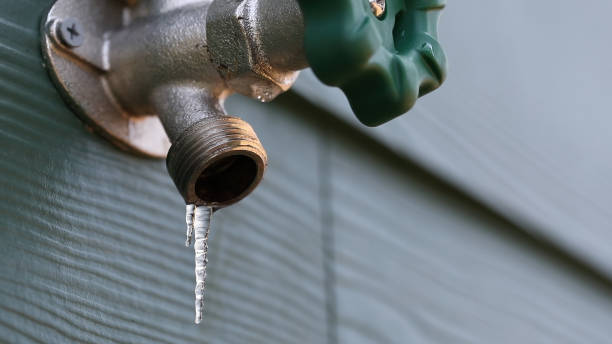 Best Clogged Drain Plumber  in Herlong, CA