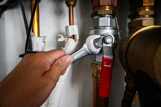 Best Affordable Plumbing Services  in Herlong, CA